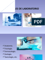 Animales de Laboratorio Diapositivas