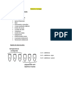 Relatório Geologia