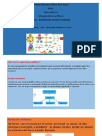 organizadores graficos  UEASUR