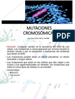 Mutaciones Cromosómicas