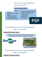 APNPS Introdução Ao Agronegócio - Características Do Setor Agroindustrial