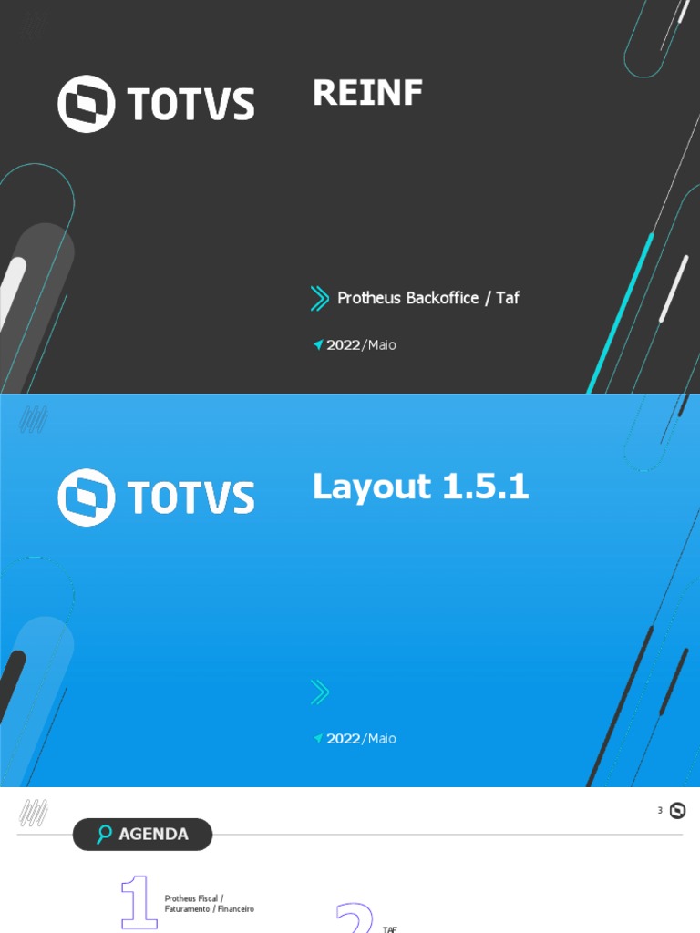 protheus-reinf-backoffice-pdf