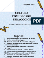 Suport de curs  electronic CCP_Sadovei L