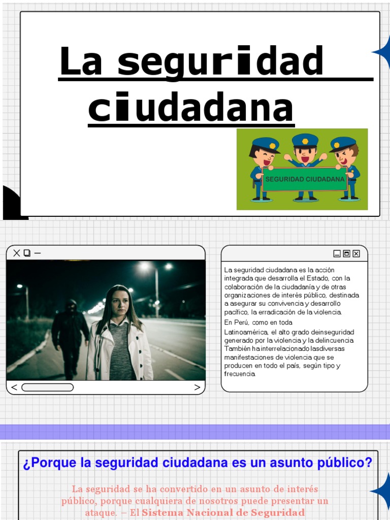 La Seguridad Ciudadana | PDF | Violencia | Valores