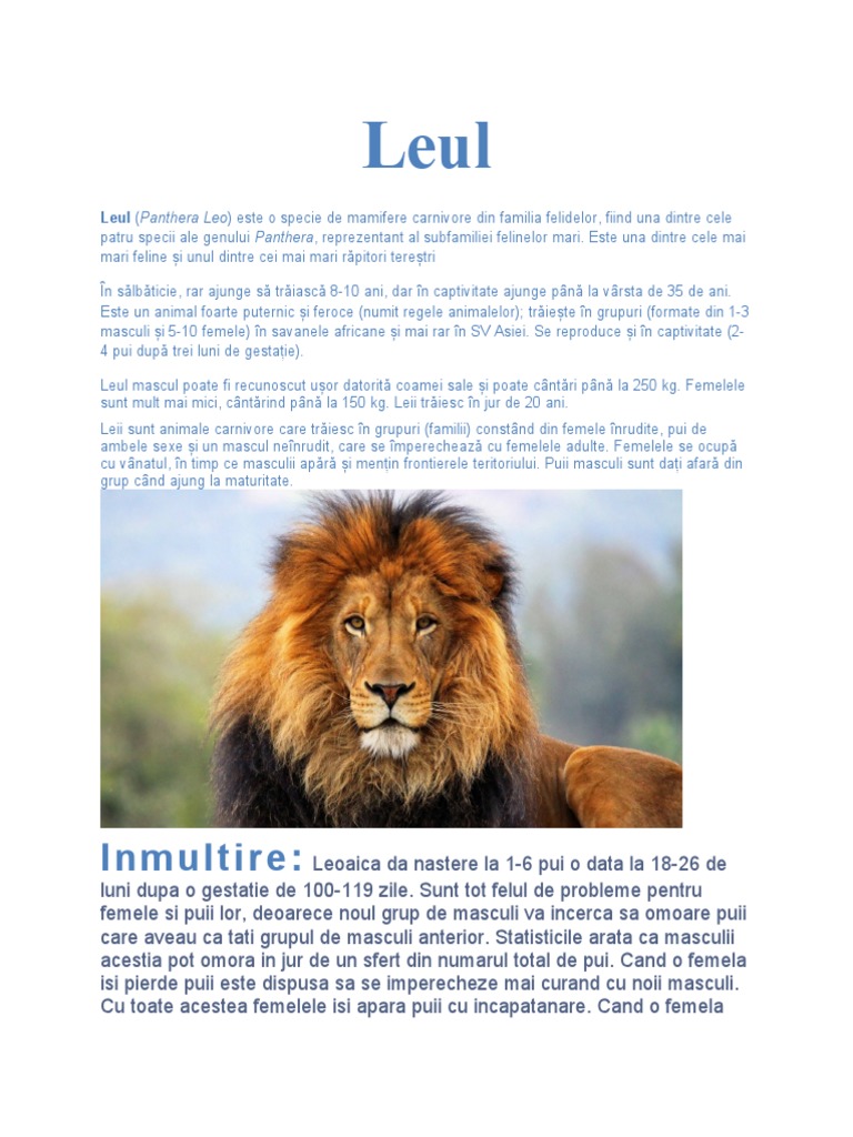 Leul | PDF
