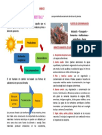 Problematica Ambiental