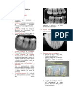 Diagnóstico básico radiografias odontológicas