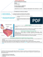 Sistema cardiovascular: estructura y función del corazón y vasos sanguíneos