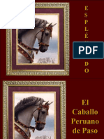 Caballo Peruano de Paso