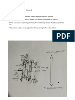 Ali B Sumndad Crop Science