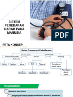 Sistem Peredaran Darah Manusia