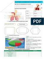 Ficha Salud Respiratoria en Armonia