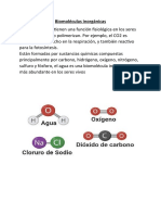 Biomoléculas Inorgánicas