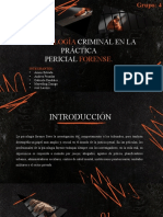 Grupo 4 La PsicologÃ - A Criminal en La Prã¡ctica 0.1