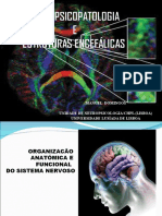 Neurociências, Neuropsicopatologia e Áreas Encefálicas