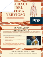 Exploración Del Sistema Nervioso