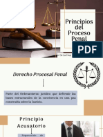 Principios Del Proceso Penal