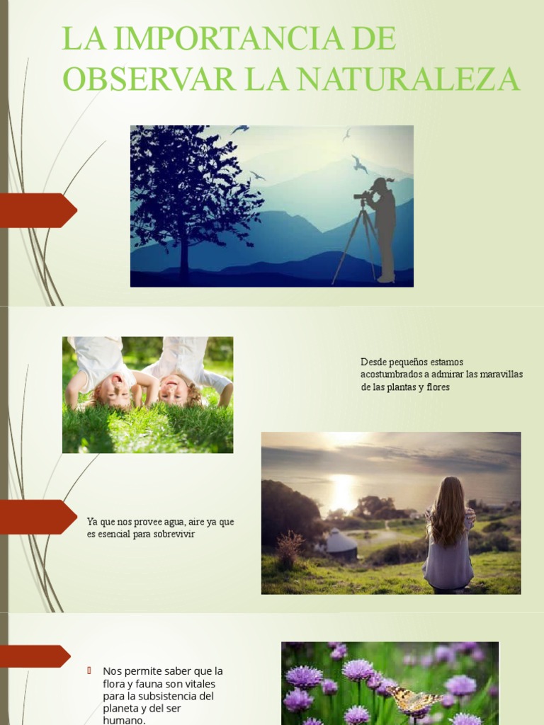 La importancia de observar la naturaleza | PDF