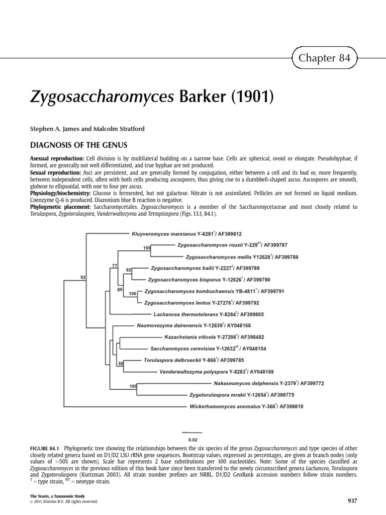 Zygosaccharomyces James2011 PDF Yeast