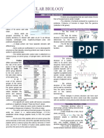 Amino Acids and Proteins