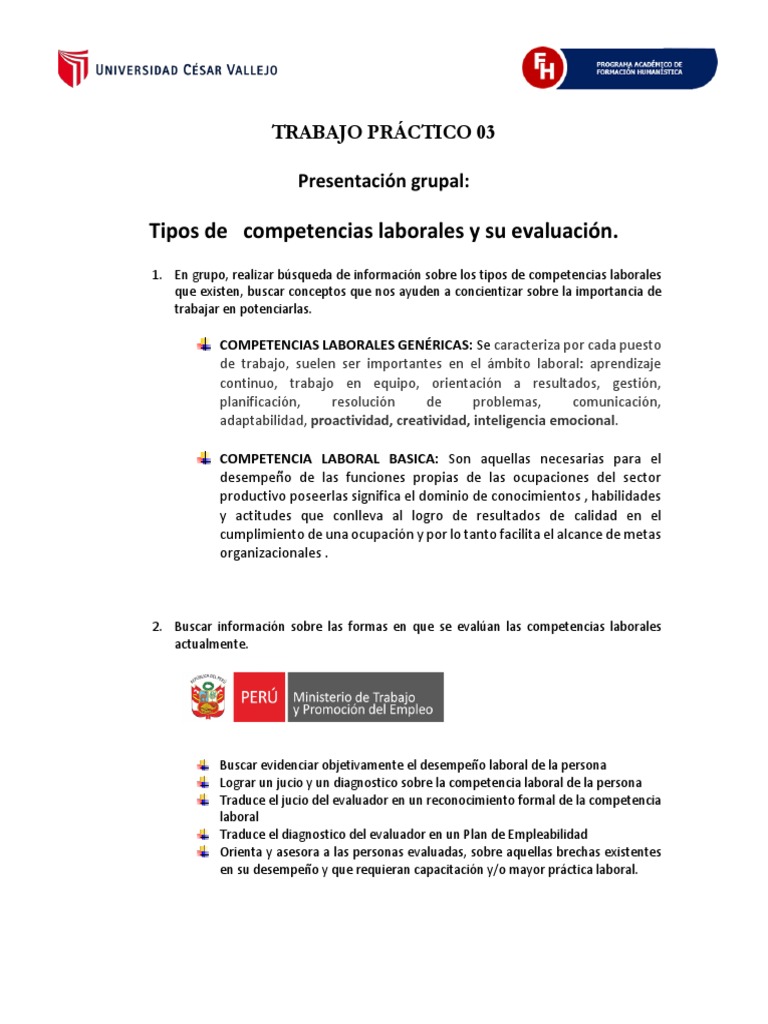 Tipos y Evaluación de Competencias Laborales | PDF