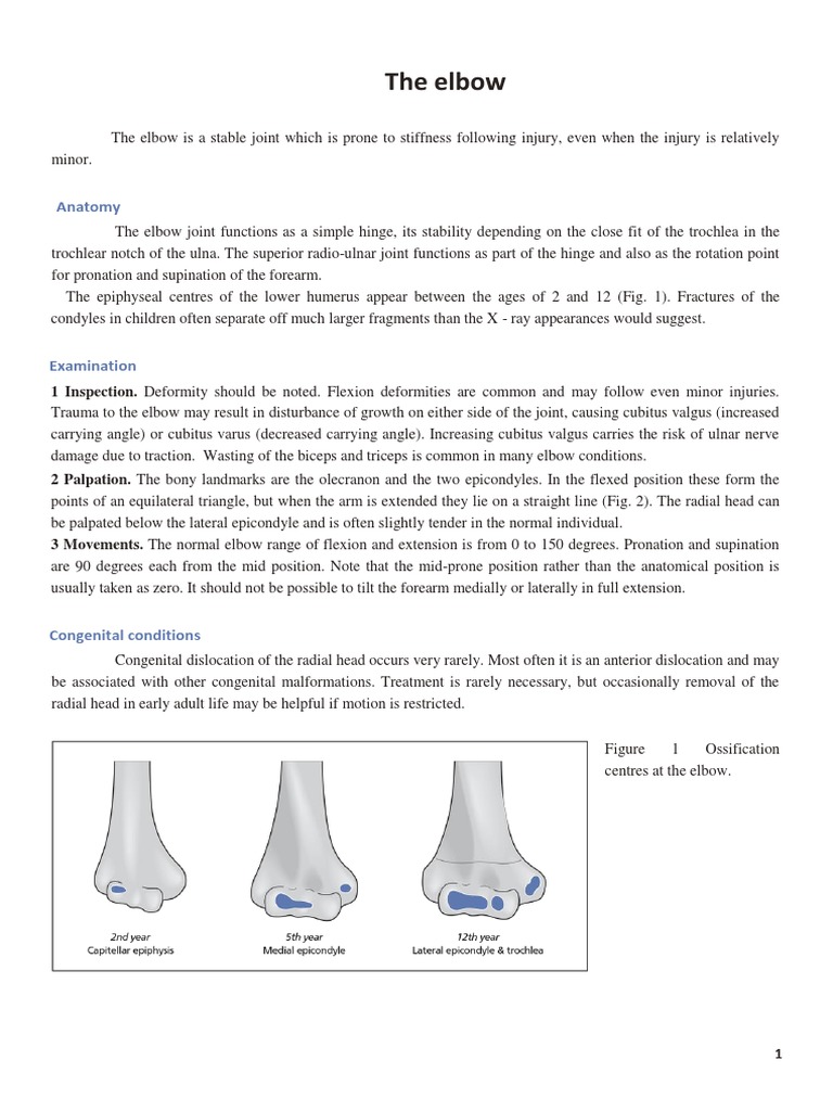 The Elbow | PDF | Elbow | Anatomical Terms Of Motion