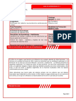 Guia de Histologia Sistema Renal