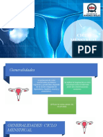 Ciclo Menstrual Normal