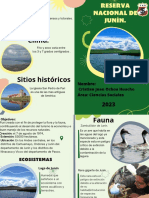 Brochure Diptico Plantas Ilustrado Organico Verde Azul