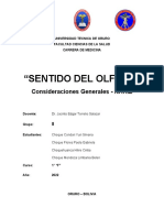 Grupo 8 - SENTIDO DEL OLFATO Consideraciones Generales
