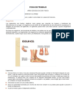 PREVENGO LESIONES DURANTE MI ACTIVIDAD FISICA