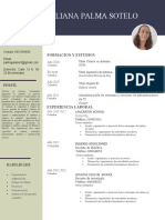 Perfil profesional Silvia Juliana Palma Sotelo ingeniería sistemas contabilidad docencia