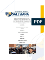 InSar PDF