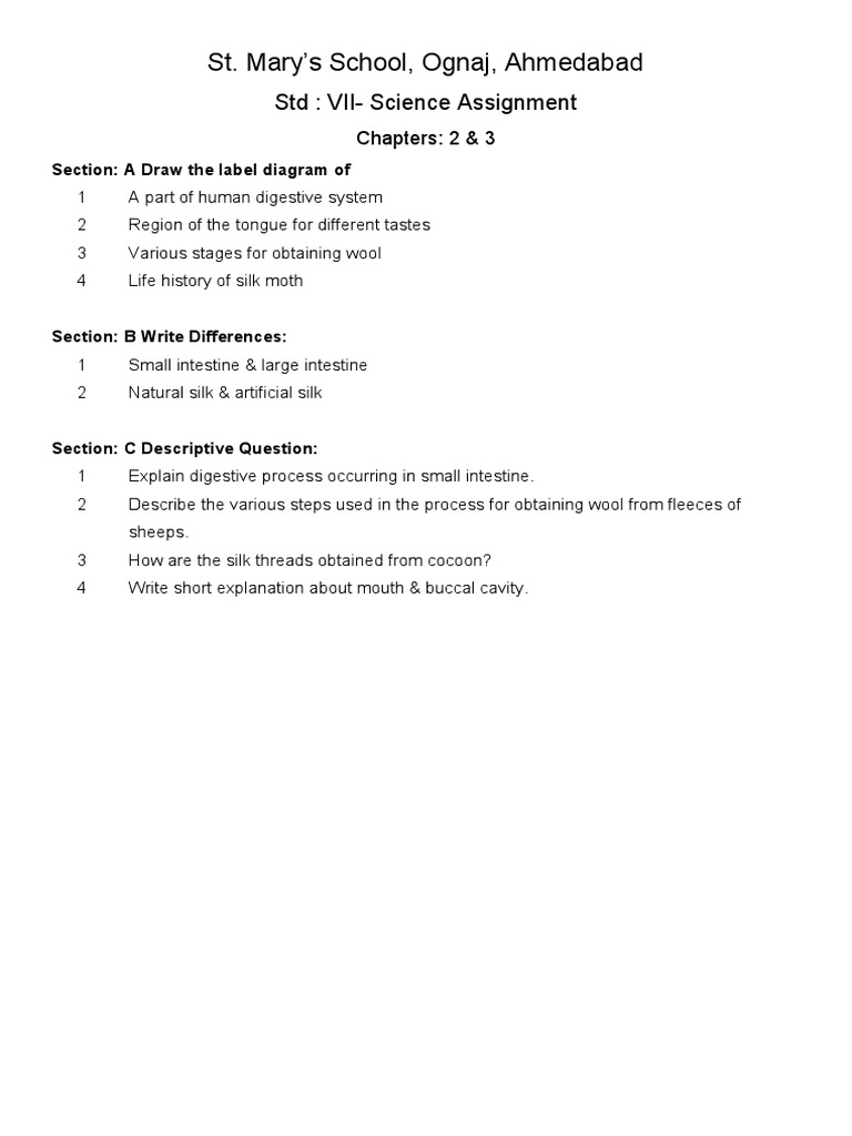 std 7 assignment pdf 2023