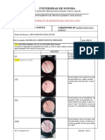 Formato Rpeorte Moc LG20231