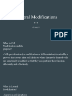 Lateral Modifications-1