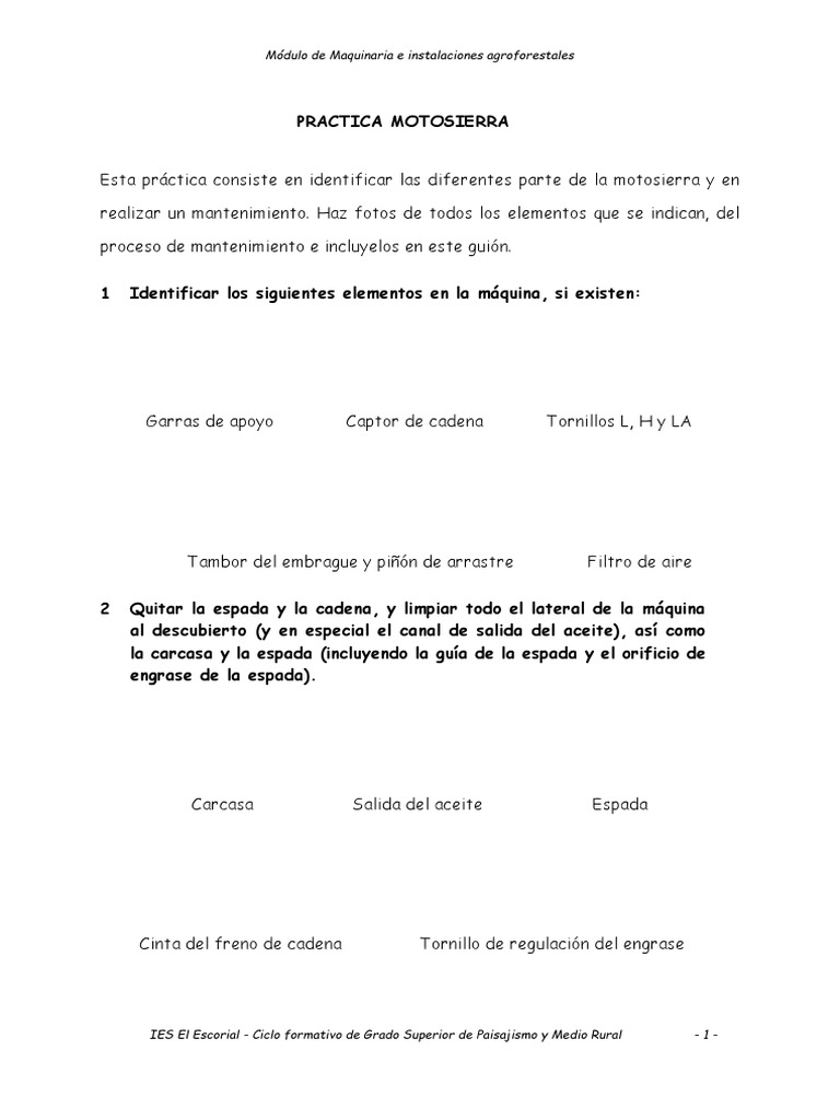 Guía de Afilado de Motosierra | PDF | Hogar, jardinería y bricolaje