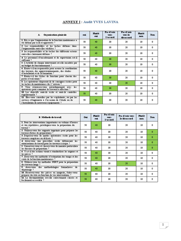 ANNEXE I Audit YVES LAVINA | PDF