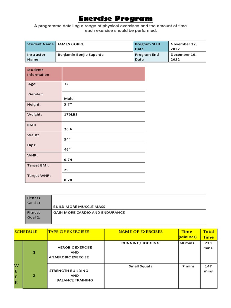 Exercise Program Template Pdf Weight Training Aerobic Exercise