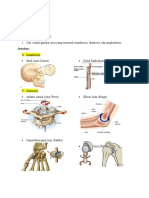 KINESIOLOGI