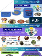 Campaña de Control de Vectores