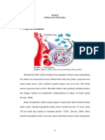 Hemoglobin dan Anemia