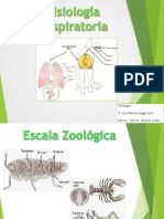 Respiratorio Modificado