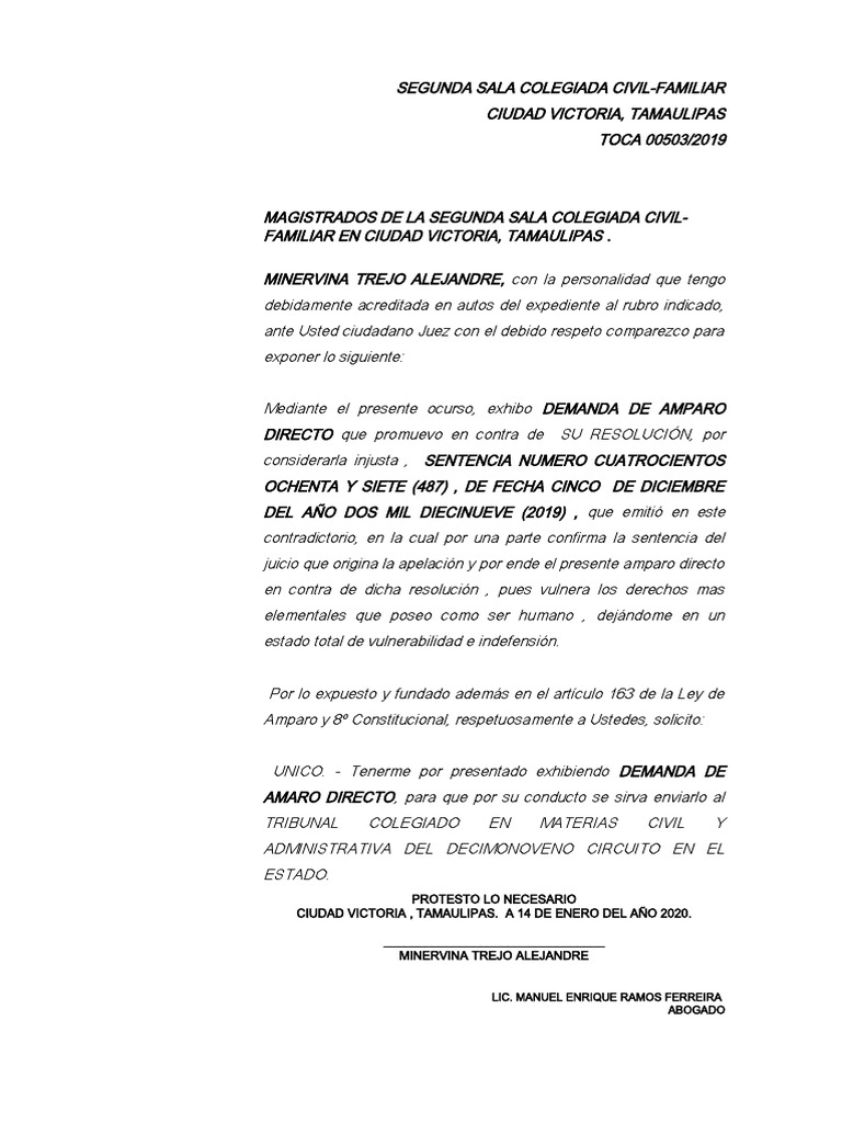 AMPARO DIRECTO SENTENCIA ALIMENTOS PDF