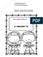 Planificacion Diagnostica Naturales 2021 PDF