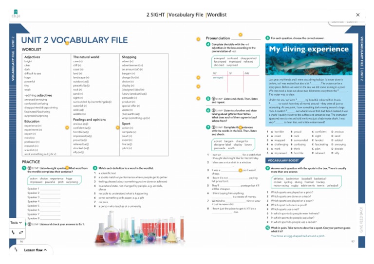 B1 English Vocabulary Guide | PDF