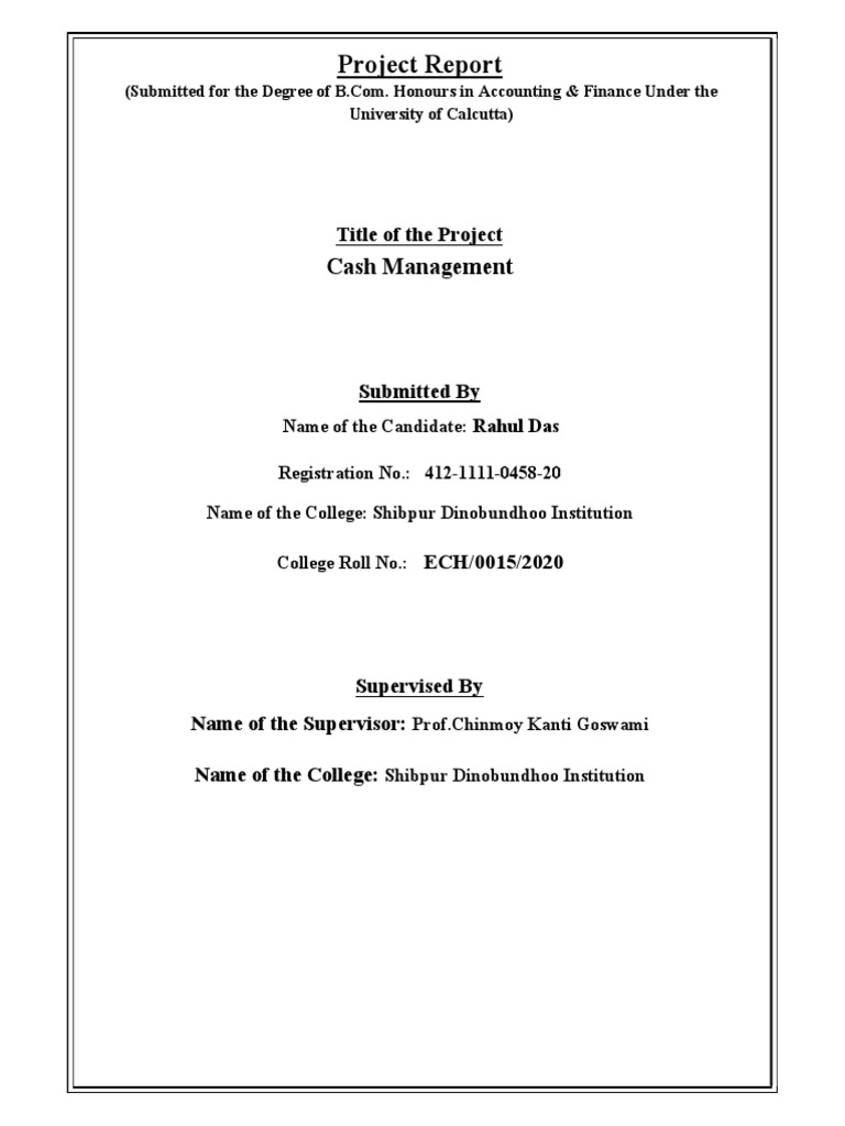 literature review on cash management pdf