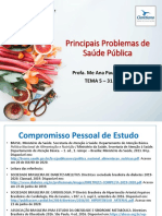 Principais Problemas de Saúde Publica No Brasil