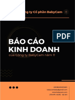 BabyCam Báo Cáo Kinh Doanh Năm 11