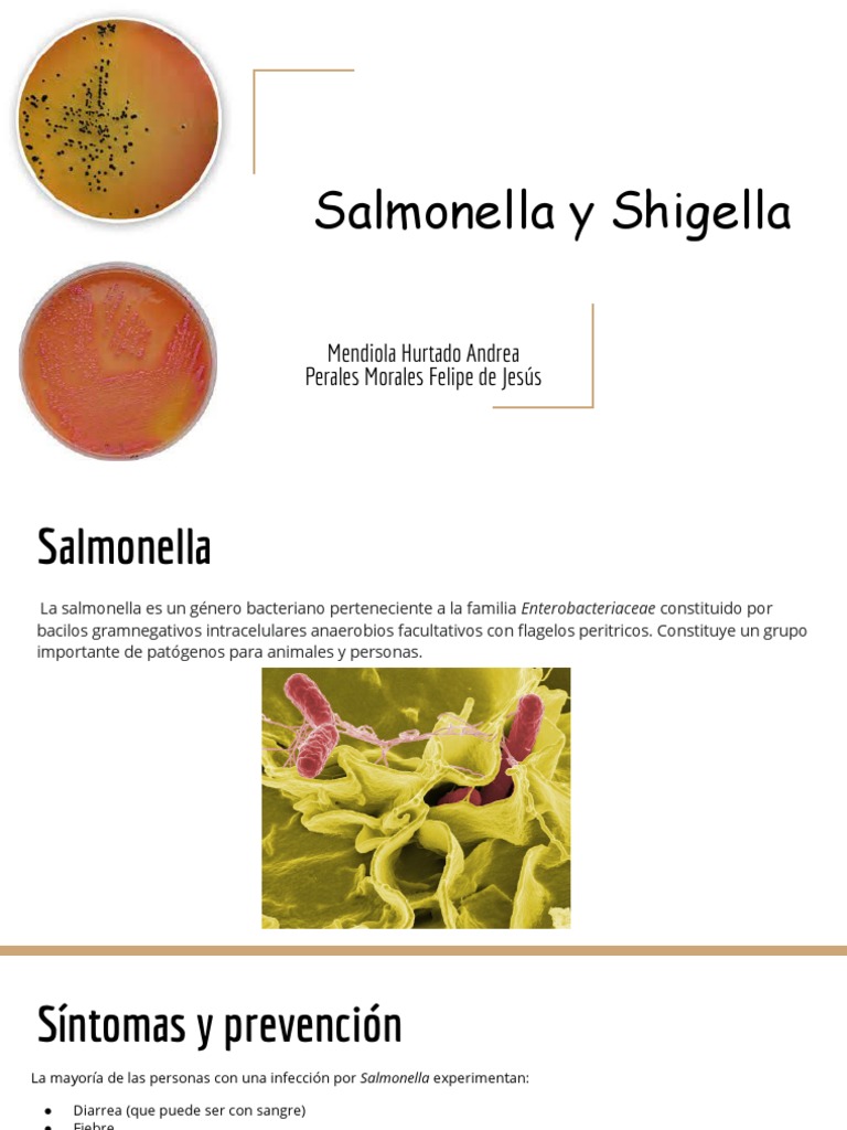 Salmonella y Shigella PDF Salmonela Alimentos